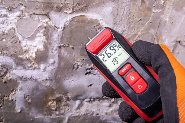 Mold Removal and Inspection in Belle Meade, TN