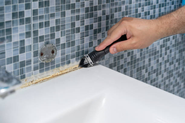 Best Mold Cleaning Services  in Belle Meade, TN